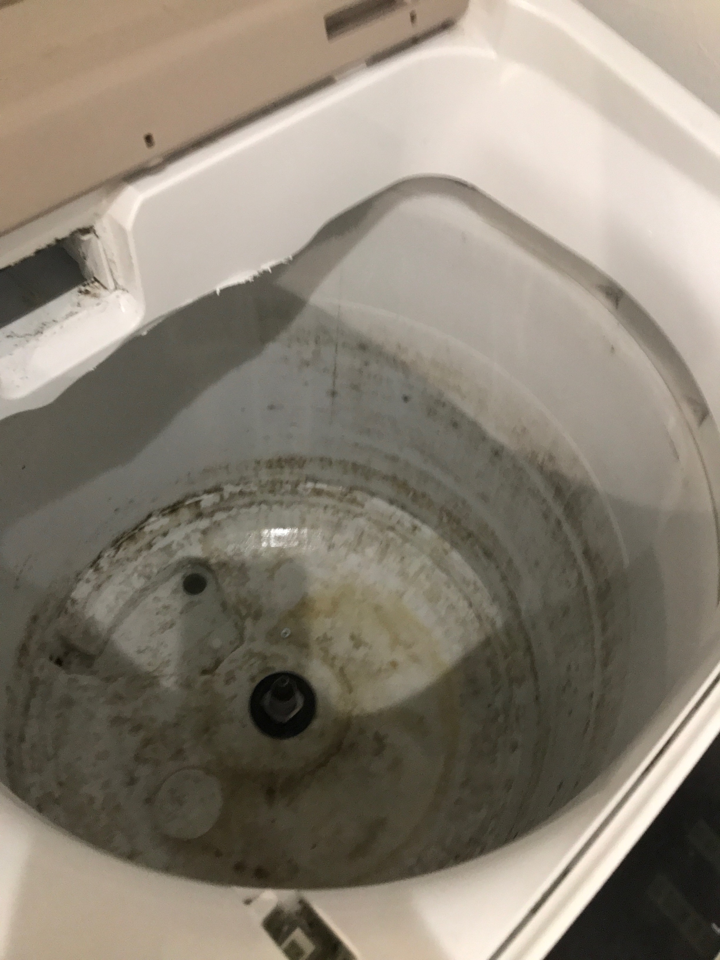 ロハスクラブ会員様人気メンテナンス「洗濯機分解クリーニング」